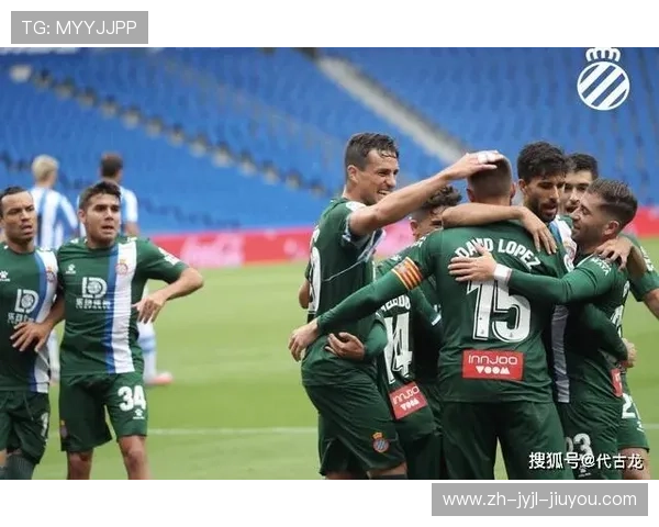 意大利与西班牙联赛积分榜数据比较解读