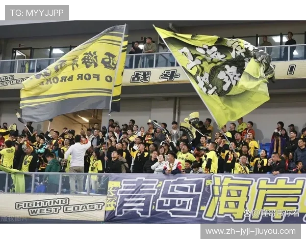 现场观看中超联赛：球迷的亲身体验